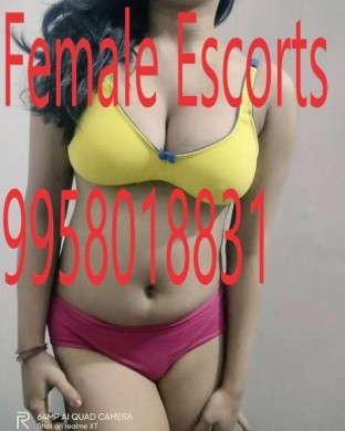 Call Girls in INA Market +91-9958018831