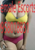 Call Girls in INA Market +91-9958018831